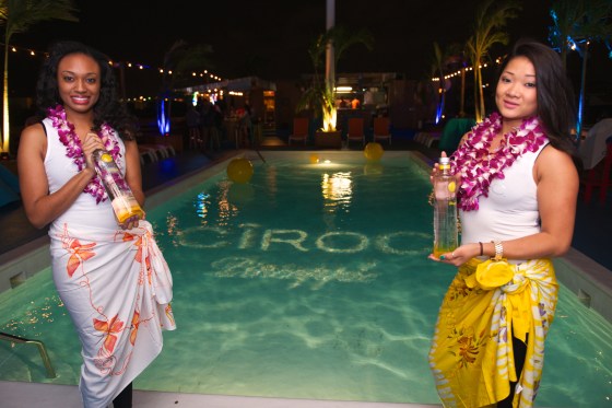 _SV22432.-3563865093-O